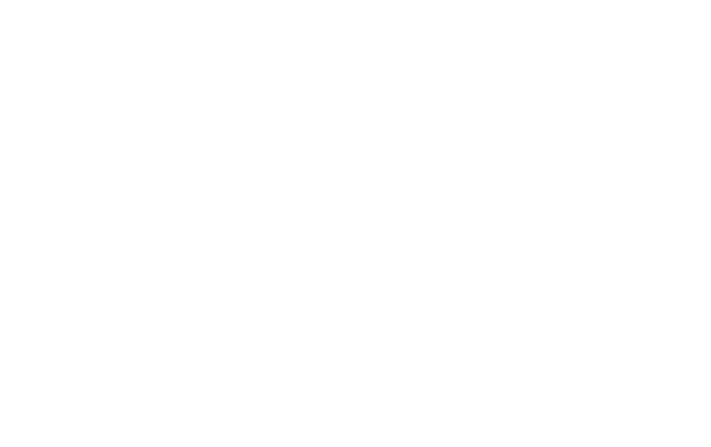 Metrolina Adoption Fund Logo